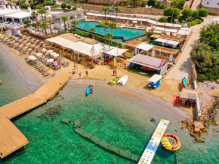 Turkey! "Tui Magic Life Bodrum" 5* - Adults Only! С 06.07! foto 10