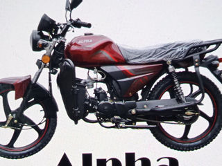 Alpha Moto Alpha Moto CM110-2A foto 2