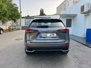 Lexus NX Series foto 5