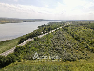 Teren agricol 100 ari! Cojușna, Strășeni! foto 3