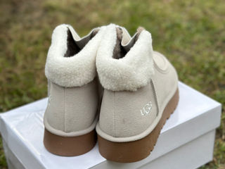 Ugg женские foto 3