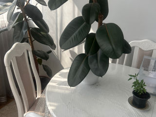 3-rm apt., 72 м², 7/9 fl.