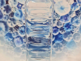 ПЭТ бутылки / пластиковые бутылки / пластиковые канистры. Разработка бутылок любого объема и формы.