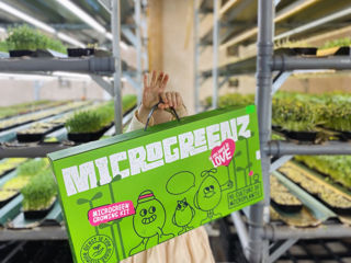 Set pentru cultivarea microplantelor