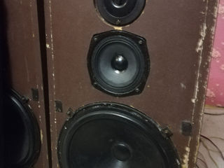 Boxe HI-FI HZK 12031 foto 2