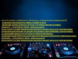 Dj IronHands (plata și prin transfer, оплата и по перечислению) foto 2