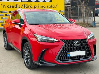 Lexus NX Series foto 2