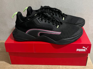 Puma 37