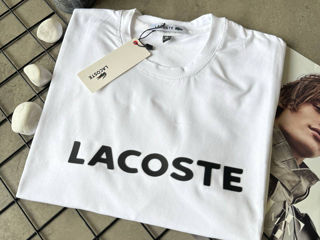 lacoste foto 3