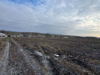 Satul Humulesti ! Teren 3,7 ha ( Gradina ), lingă pădure ! foto 1