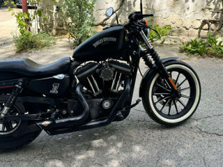 Harley - Davidson Davidson IRON 883 foto 5