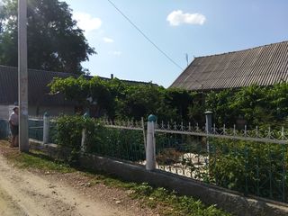 Продается дом в селе малаешты - недорого!! foto 6