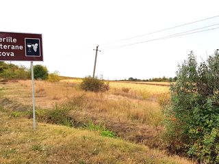 Vind teren 200 ari la traseul international spre Orhei, 5 km de la Chisinau / участок 2 га foto 4