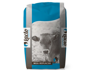 Заменители молока для телят,ягнят,козлят/Inlocuitori de lapte pentru vitei,miei/iezi,purcei.Lacto