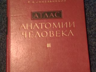 Атлас Анатомии человека Синельников