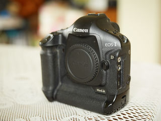 Canon EOS 1 D MARK III Body - 550 euro foto 3