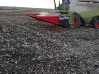 Prestam servicii de recoltare cu combine lexion 600 si lexion 580