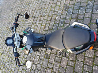 Ktm duke foto 6