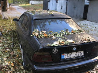 BMW 5 Series foto 4