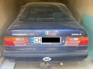 Nissan Primera foto 1