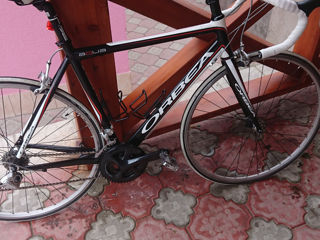 Orbea foto 1