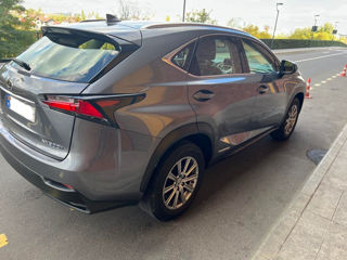 Lexus NX Series foto 5