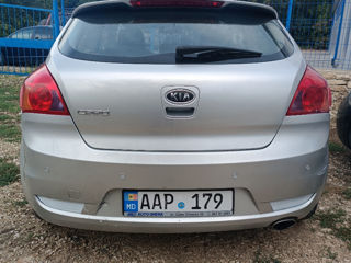 KIA Ceed foto 4