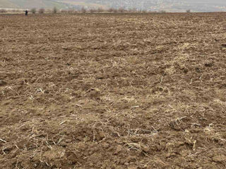 Se vinde teren-grădină in Singera. foto 5