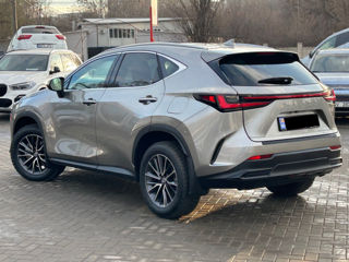 Lexus NX Series foto 5