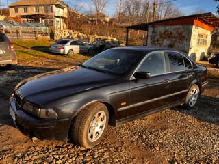 BMW 5 Series foto 7