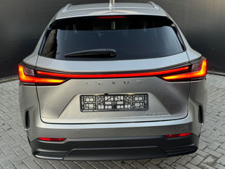 Lexus NX Series foto 5