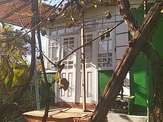 Urgent !!!!Se vinde casa pe pămînt în orașul Drochia foto 6