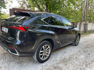 Lexus NX Series foto 2