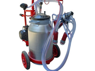 Aparat De Muls Vaci Maksan (1 Post/1 Bidon 40L.) - n2 - livrare / credit / agroteh foto 3
