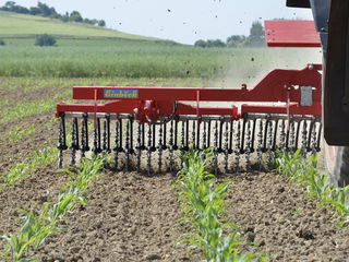 Cultivator rotativ "Rotarystar" foto 7