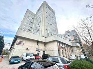 Spațiu comercial , Botanica