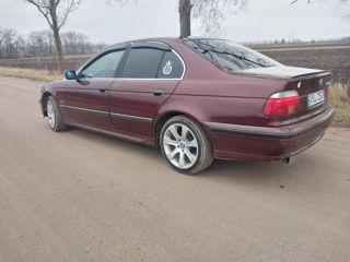 BMW 5 Series foto 7