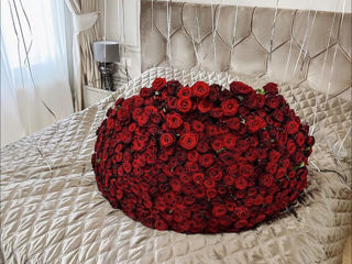 101 trandafiri de la 899 mdl 101 роз доставка цветов livrare flori flowers delivery foto 6