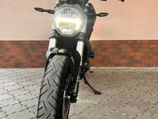 Ducati Monster 797 foto 13