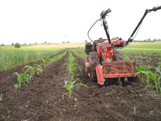 motobloc, minitractor, freze rotative, stropitoare cu pompă, preț negociabil foto 2