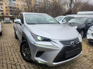 Lexus NX Series foto 18