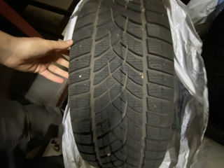 255/50r19 Зима