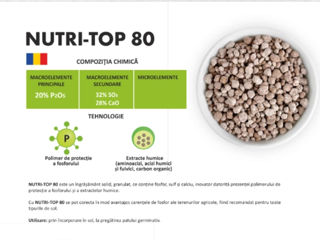 Îngrășăminte minerale CICH Nutri-Top 80 Удобрения foto 4