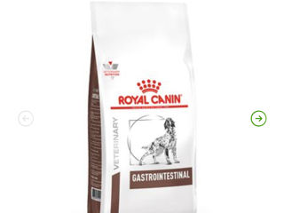 Royal canin  Hills  Calibra  hrana mancare  pentru caini pisici foto 7