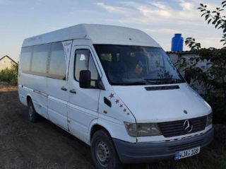 Mercedes Buss foto 2