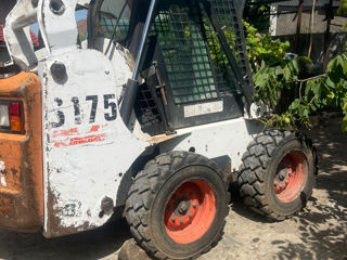 Bobcat foto 2