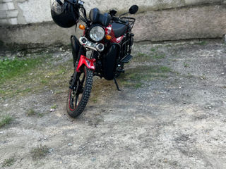 Alpha Moto Andes 110ccm foto 2