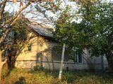 Продаётся дом в Рыбницком р-не, селе Жура foto 4