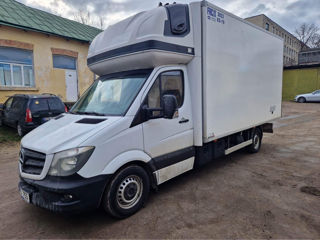 Mercedes 319