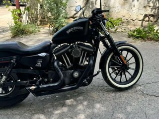 Harley - Davidson IRON 883 foto 4